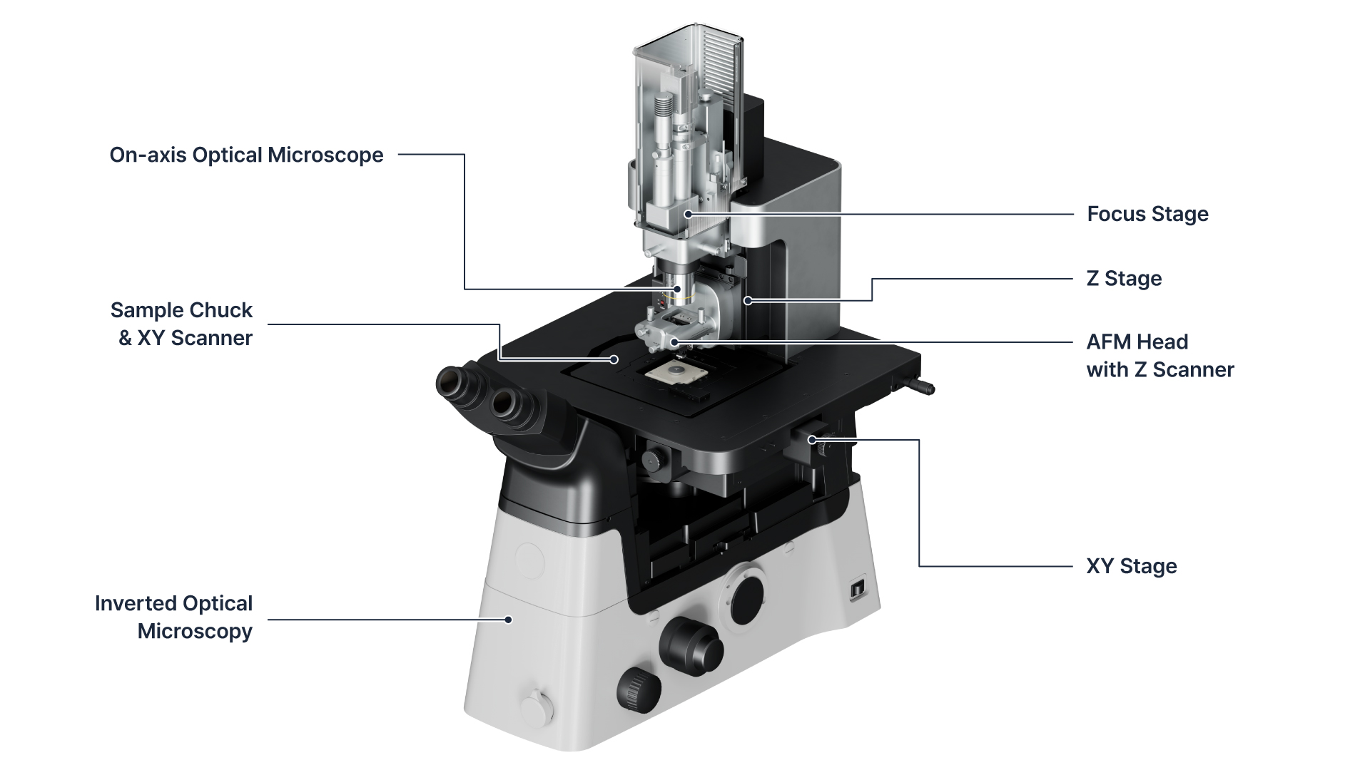 атомный силовой микроскоп, Park Systems NX12, True Non-contact, SICM, SECM, SECCM, нанопипетка, ортогональное сканирование, инвертированная микроскопия, наноанализ, электрохимия, биохимия